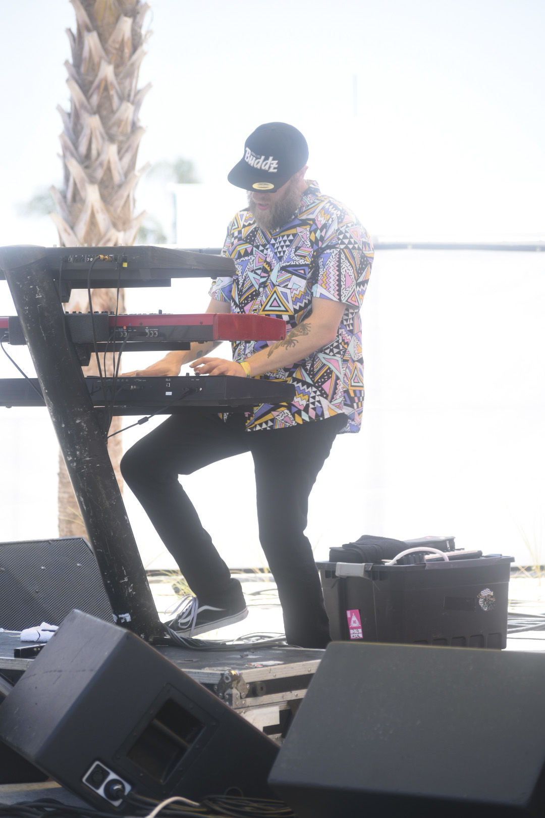 Hangout Festival Roots of Creation